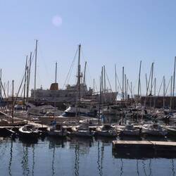 Vom Hafen in Simons Town geht es mit einem Boot raus aufs Meer