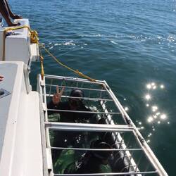 Ich brauche lange um mich an Kälte und Umstände zu gewöhnen