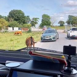 Man muss auch mal abwarten können