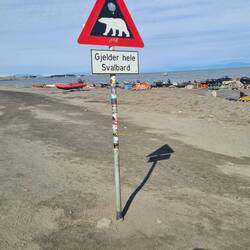 Dieses Verkehrszeichen gibt es nur auf Spitzbergen.