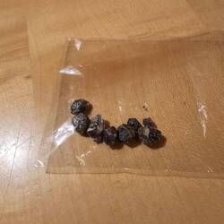 Meine kleine Ausbeute