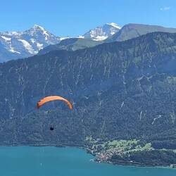 Paraglider ... passing by our balcony — Beatenberg.