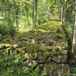 Wer baute wohl wann und wozu mitten im Wald eine solche Mauer?