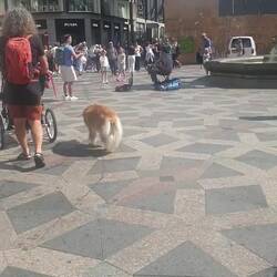 ... ma che bravooo...🤩