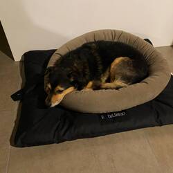 Bio-Alarmanlage auf der Ladestation