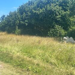 Auch wilde Tiere heute gesehen...