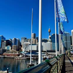 Pyrmont Bridge