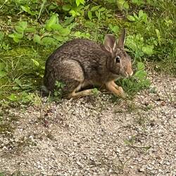 This little guy was watching our boat when we returned.