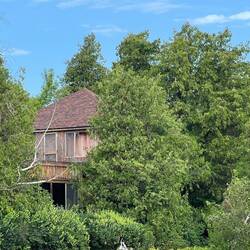 Large house hidden in the trees on Adventure Island