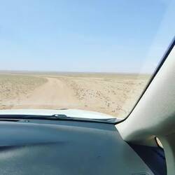 Мориц анх удаа бартаат замаар машин барьсан нь...😁👍