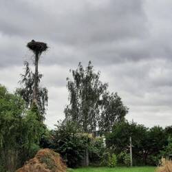 Markenzeichen... Familie Storch