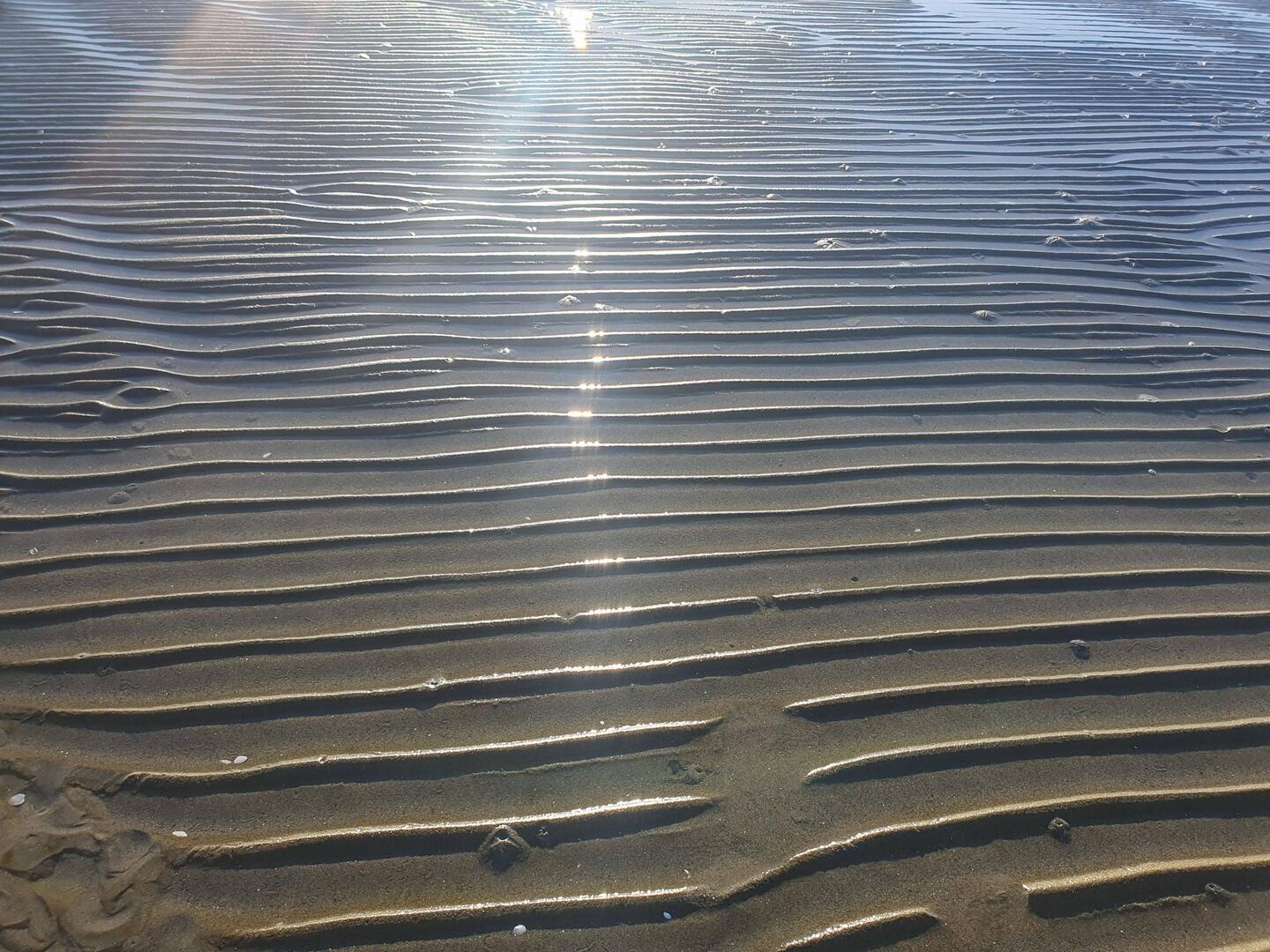 Corduroy Beach Pakawau
