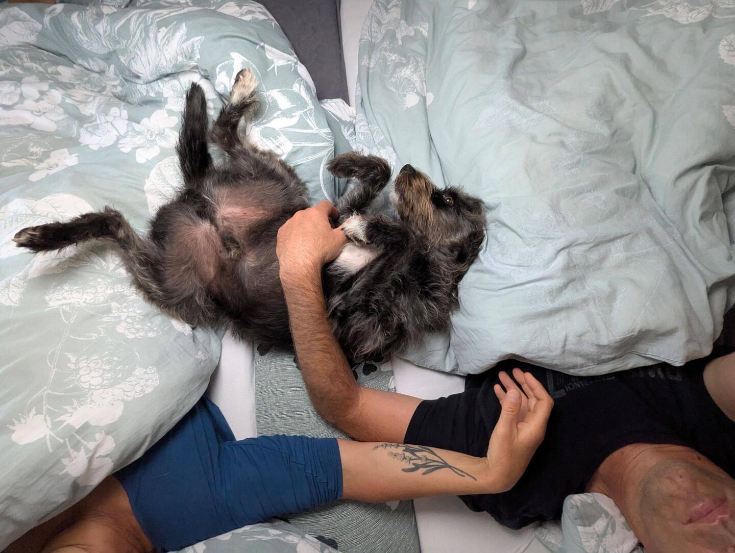 Heute morgen musste erst noch geknuddelt werden🥰