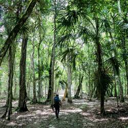 Walking from one temple to another through the rainforest...