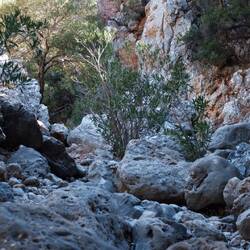 Le chemin était parfois un peu difficile à trouver 😂