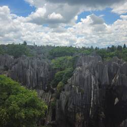 La forêt de pierre depuis un petit pavillon