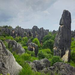 Le parc est labyrinthique, c'est assez facile de s'y perdre