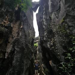 Nous sommes à peu près rassurés