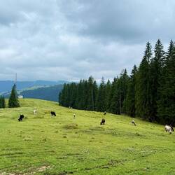 während dem Abstieg nach Vatra Moldoviței