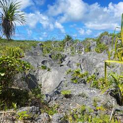 Eine echte Mondlandschaft...naja, in grün😉