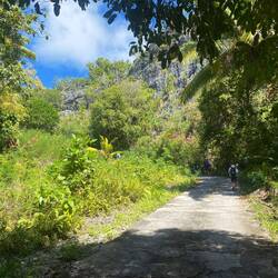 Hier noch der flache Teil des Weges, der uns auf die 80-m-Höhe bringt.