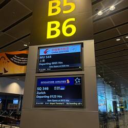 Erst Flug gschafft, etz gohts uf Züri. 🇨🇭✈️