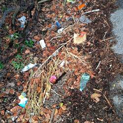 De Italianen hebben een mentalireitsprobleem. Zo fier op hun land, en zo weinig respect voor de berm