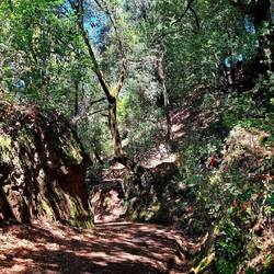 Afdalen doorheen het Nationaal Park.