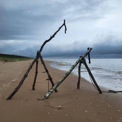 Die zwei Giraffen waren schon aus weiter Ferne auszumachen.