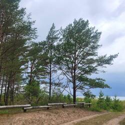 Es gibt nur Regen, kein Gewitter!😳