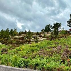 Heide, Granit und Kiefern. Das typisch schwedische Assemble.