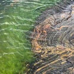 Faszinierendes Farbspiel.