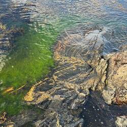 Ein tolles Farbenspiel.