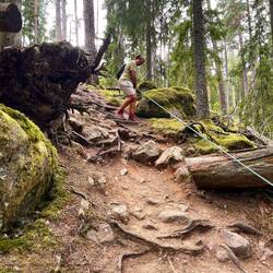 Spaziergang auf Schwedisch, Nationalpark Version