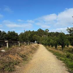 A fair amount of walking alongside the road