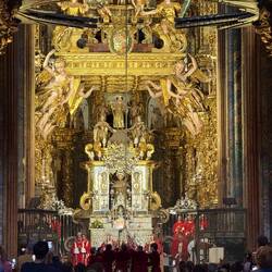 Inside the cathedral. No photos allowed but people went nuts when the botafumeiro came out, so.