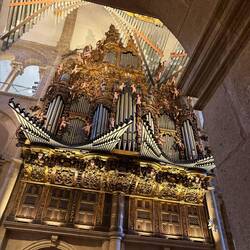 Now THAT'S an organ.