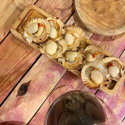 Scallops at dinner. Delish.