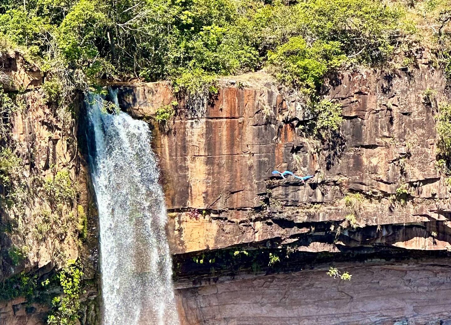 Brautschleierwasserfall mit 2 Aras