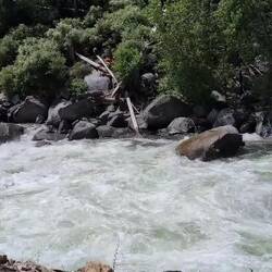 Roaring River - macht seinem Namen alle Ehre