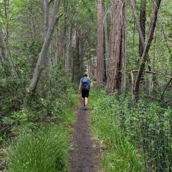 Früher war das eine Rundwanderung, nach einem Felssturz muss man nun den gleichen Weg zurück