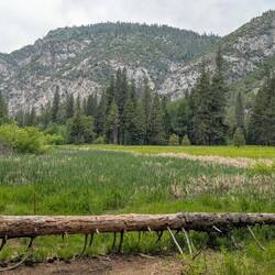...zu den Zumwalt meadows