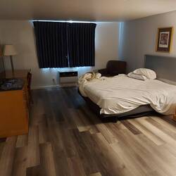 Roomtour, 126 Dollar zwei Nächte. Bett bei der Tierkontrolle so zerwühlt.