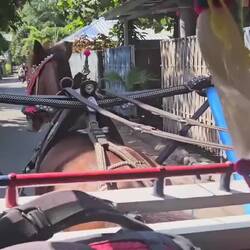 Taxi zur Villa Mandala