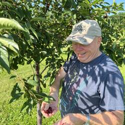 Colby picking cherries.