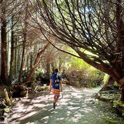 Nicklas im Wald