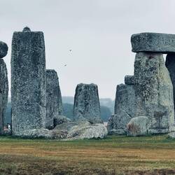 Cool stones blue ones brought from miles and miles away