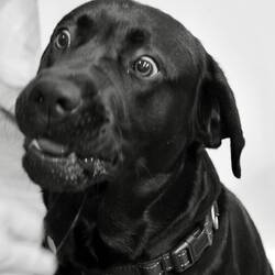 Omg it is a lemon 🍋