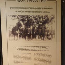 Info about the Boab prison tree
