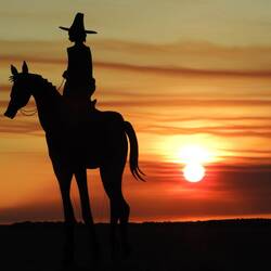 The ringer (Aboriginal stockman)